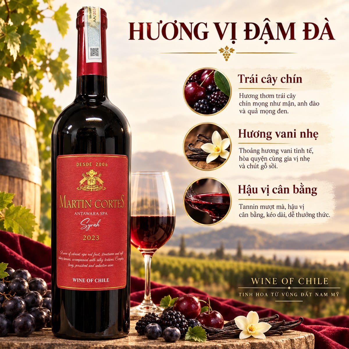 Rượu vang đỏ Martin Cortes Syrah 2023 750ml – Chile - Ảnh 4