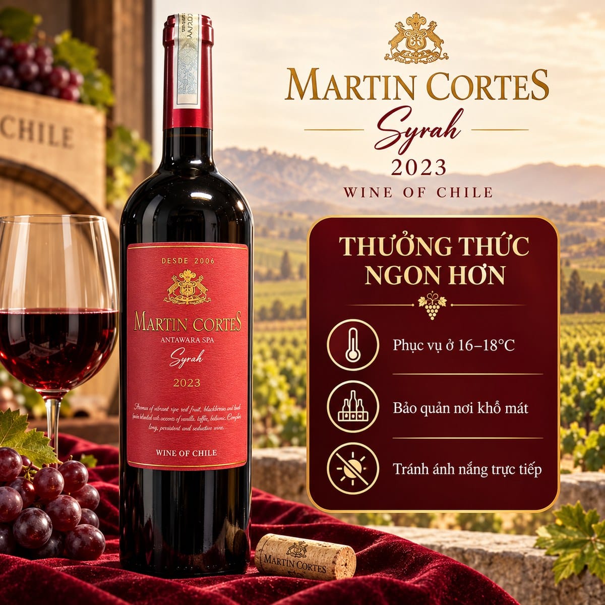 Rượu vang đỏ Martin Cortes Syrah 2023 750ml – Chile - Ảnh 6