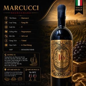 Marcuggi 16