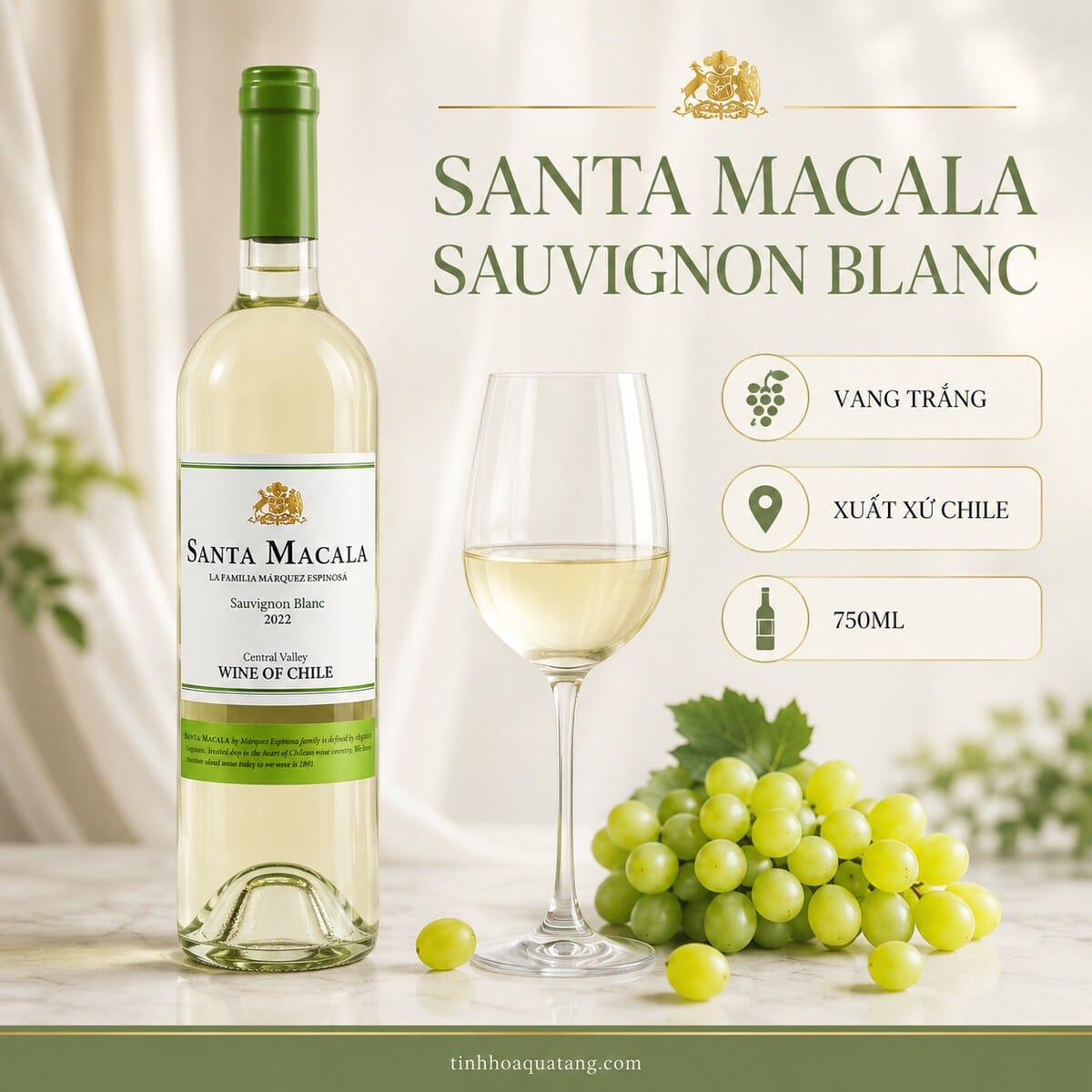 Rượu vang trắng Santa Macala Sauvignon Blanc 2022 750ml – Chile - Ảnh 2