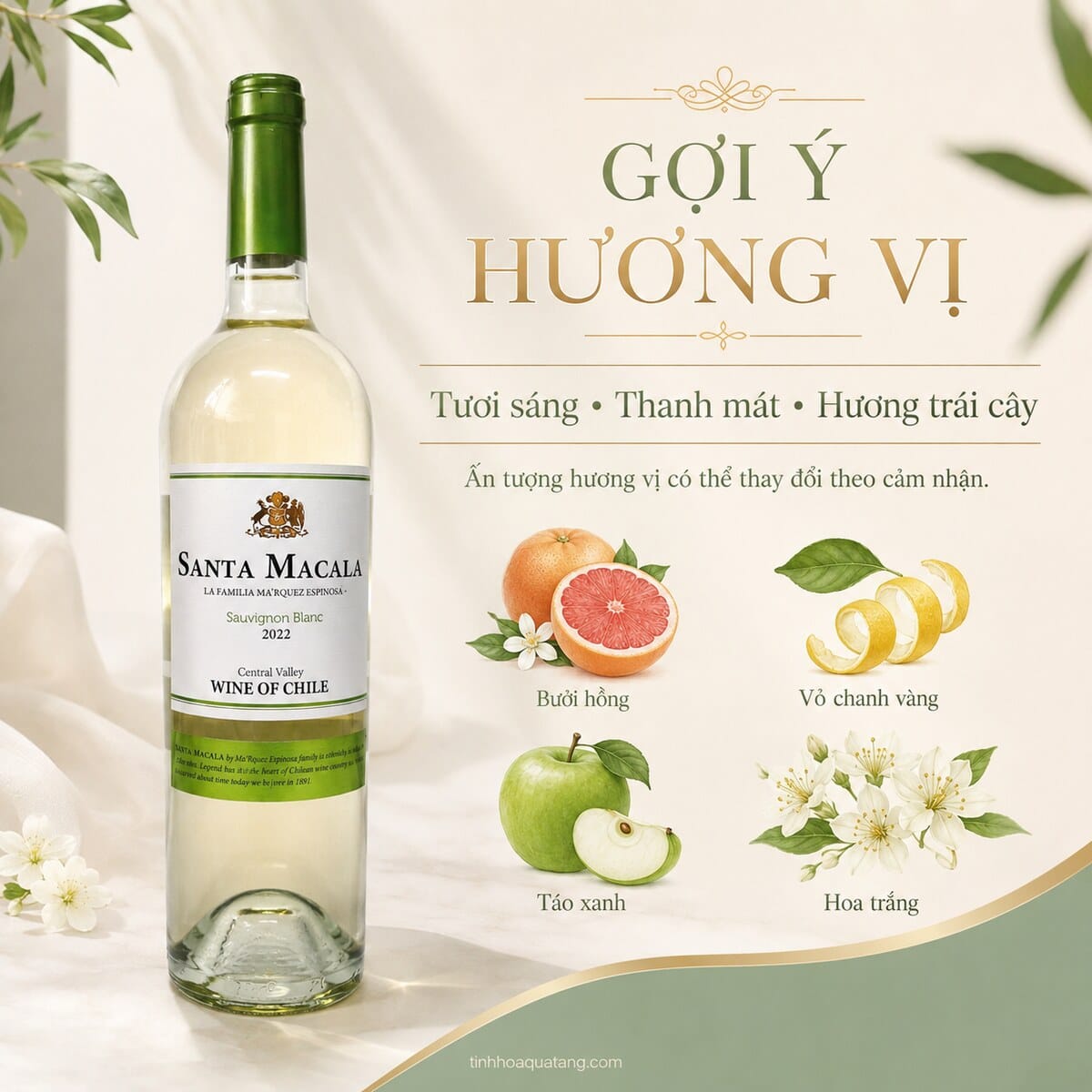 Rượu vang trắng Santa Macala Sauvignon Blanc 2022 750ml – Chile - Ảnh 4