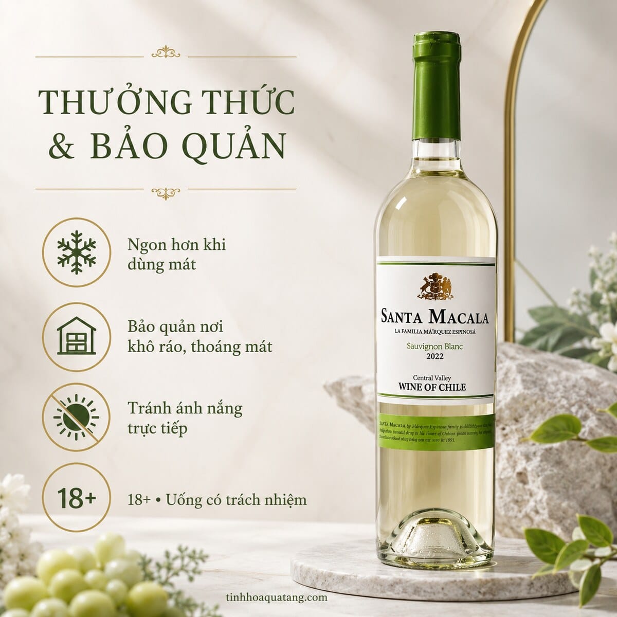 Rượu vang trắng Santa Macala Sauvignon Blanc 2022 750ml – Chile - Ảnh 6