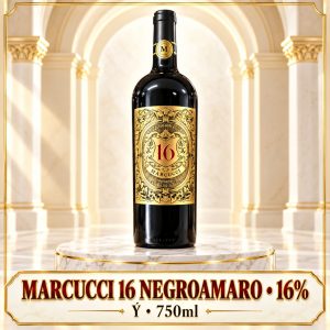 Rượu vang đỏ Marcucci Negroamaro Puglia IGT 2021 16% 750ml – Ý