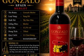 ruou-vang-gonzalo-merlot-2021-tay-ban-nha.jpg